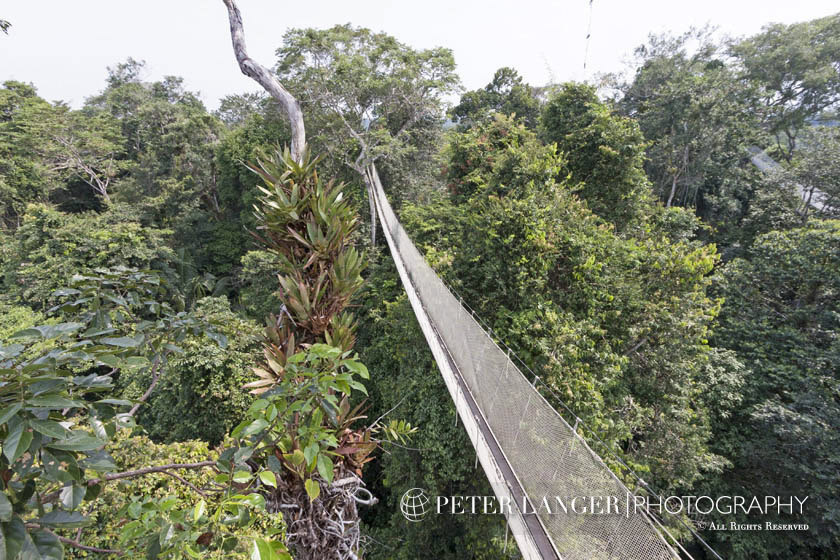 %_tempFileNamejunglelodges011%