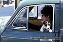 %_tempFileNamepets007%