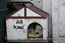 %_tempFileNamepets011%