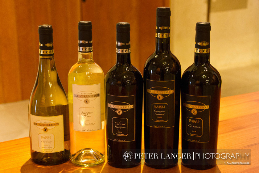 %_tempFileNamewine004%